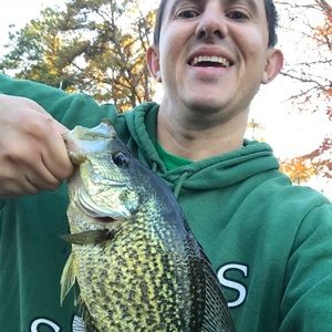 Meet your Posher, Steven